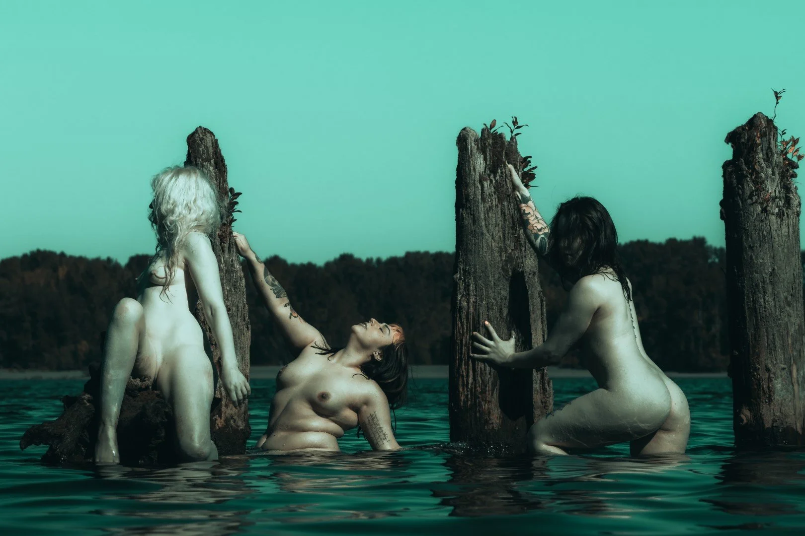 sauvie island experiment day-35 (Large).JPG