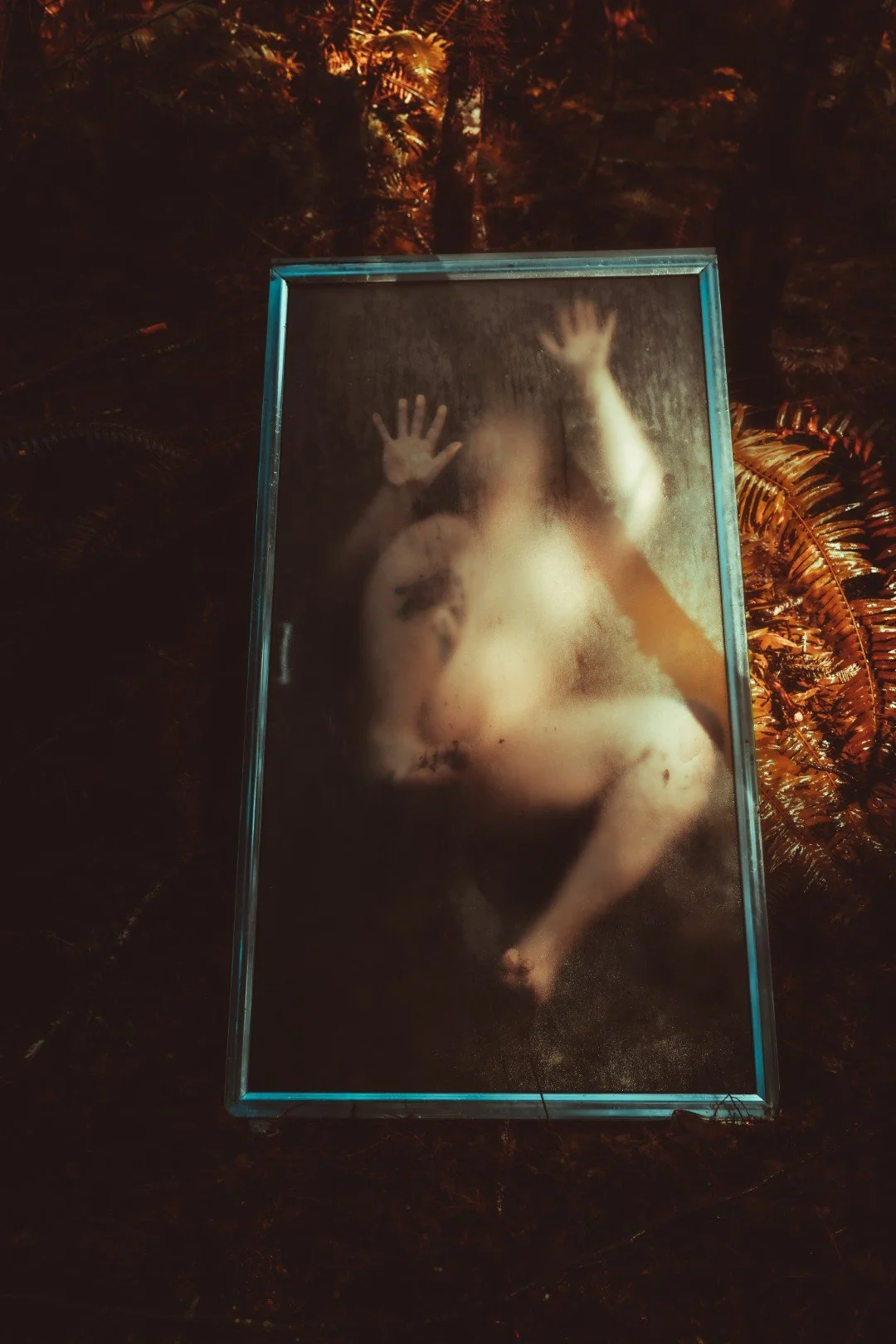 Forest Shower-32 (Large).JPG