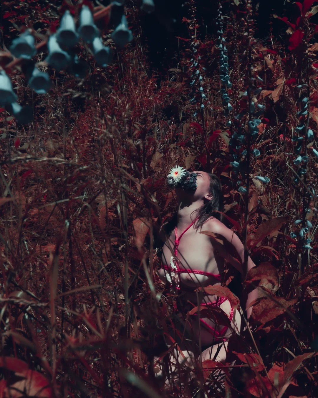 Becca bones and flowers-18 (Large).JPG