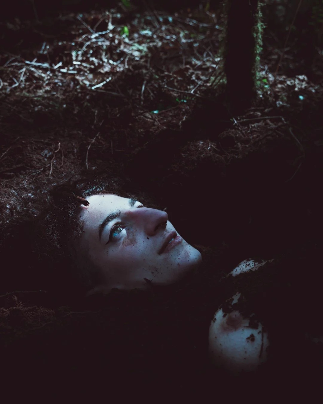 Emergence-19 (Large).JPG