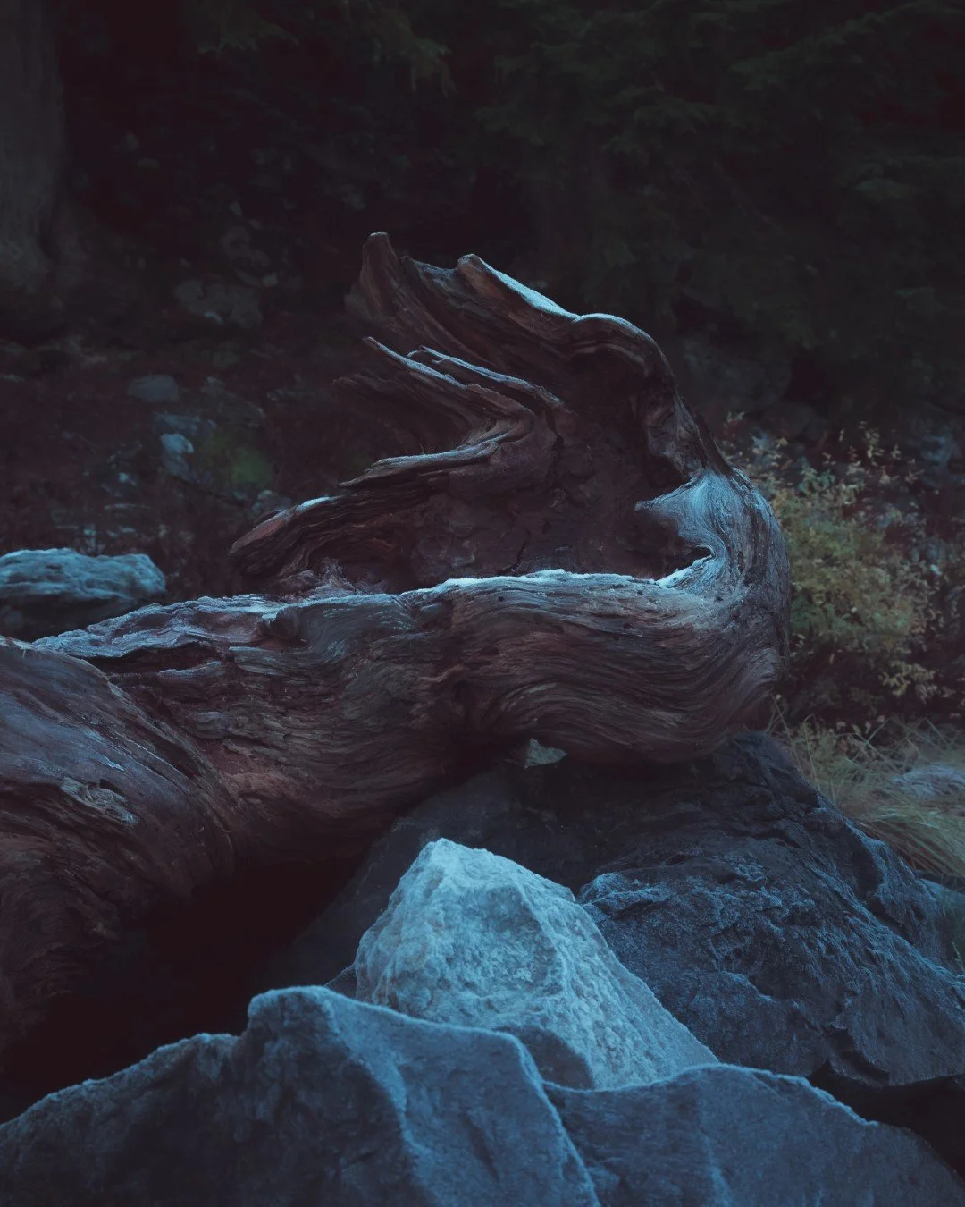 mt hood -74 (Large).JPG