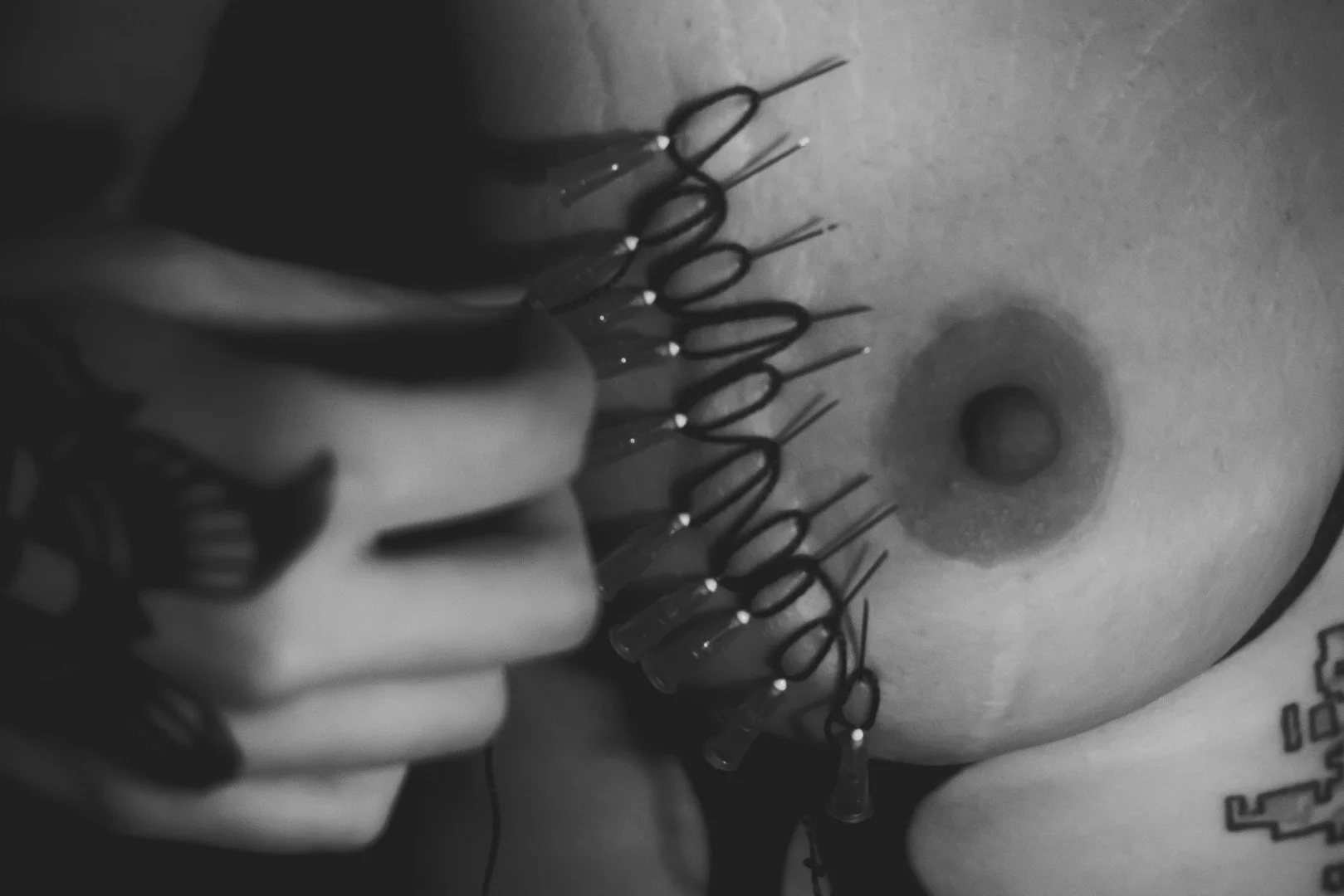 Sin needles-15 (Large).JPG