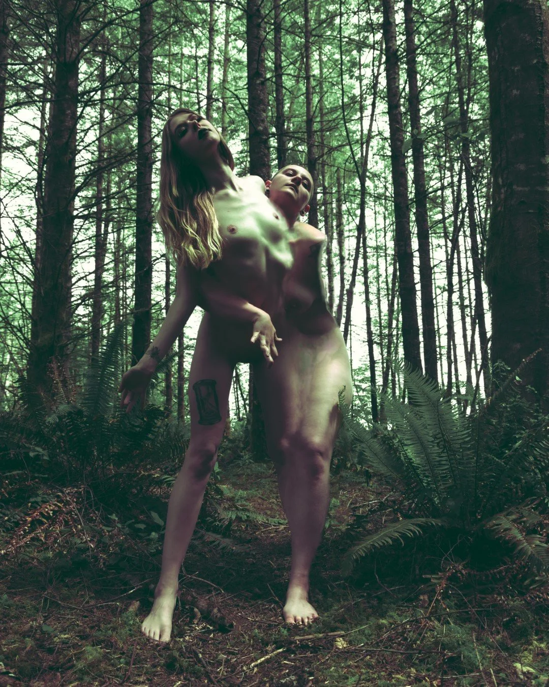 morphed-2 (Large).JPG