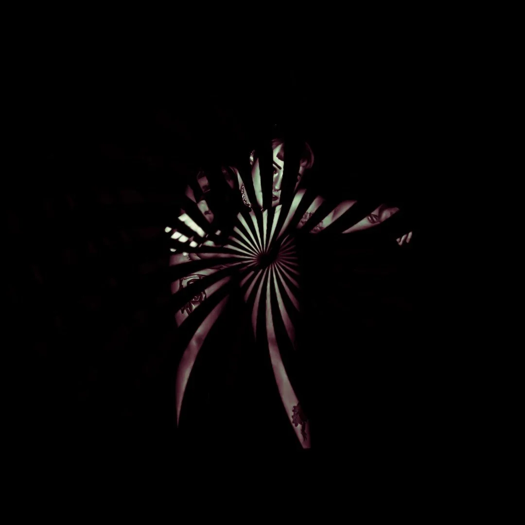 face swap-32 (Large).JPG