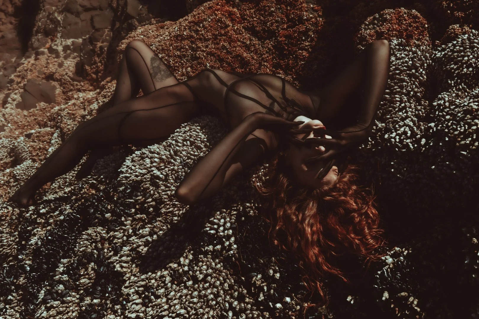 Squid beach-43 (Large).JPG