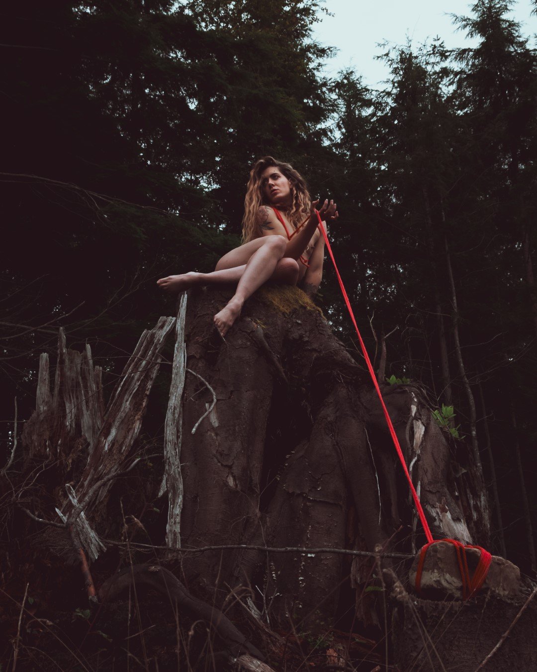 Burdened-15 (Large).JPG