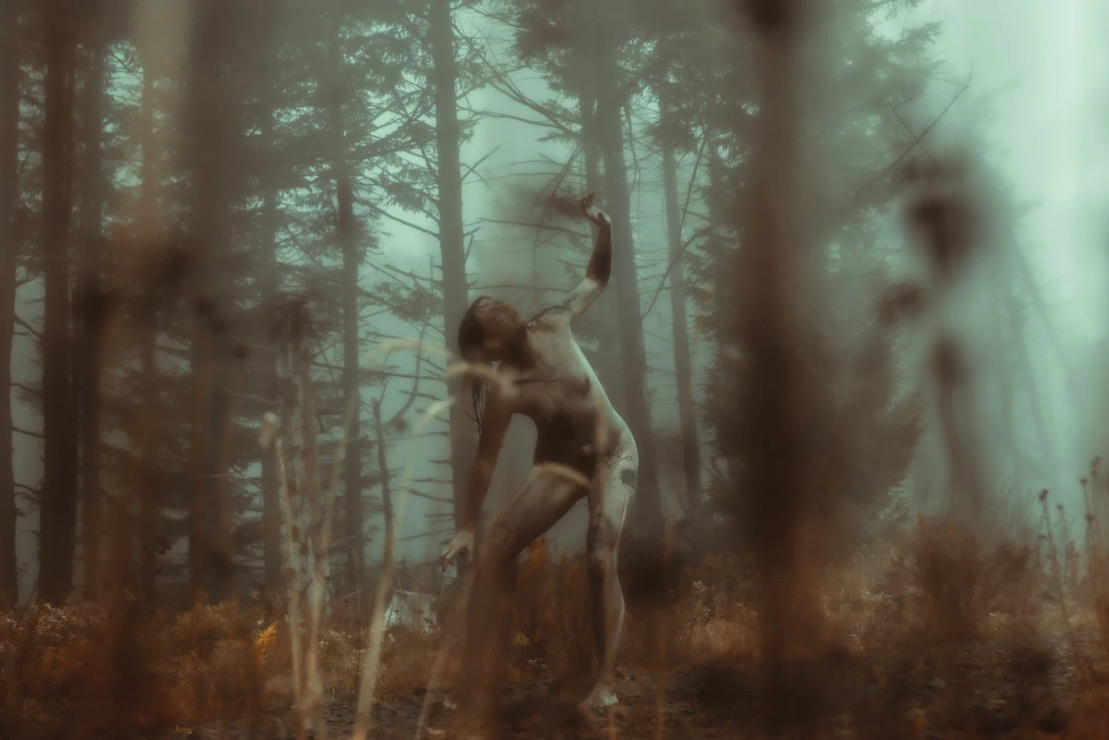 Zander wasp -35 (Large).JPG