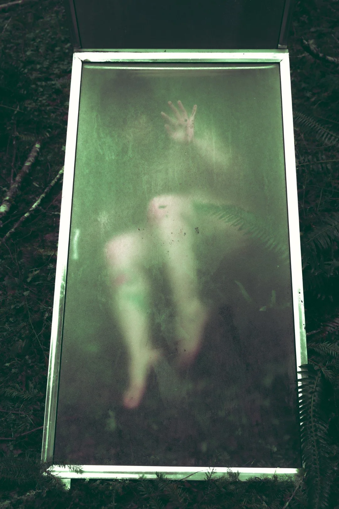 Forest Shower-49 (Large).JPG