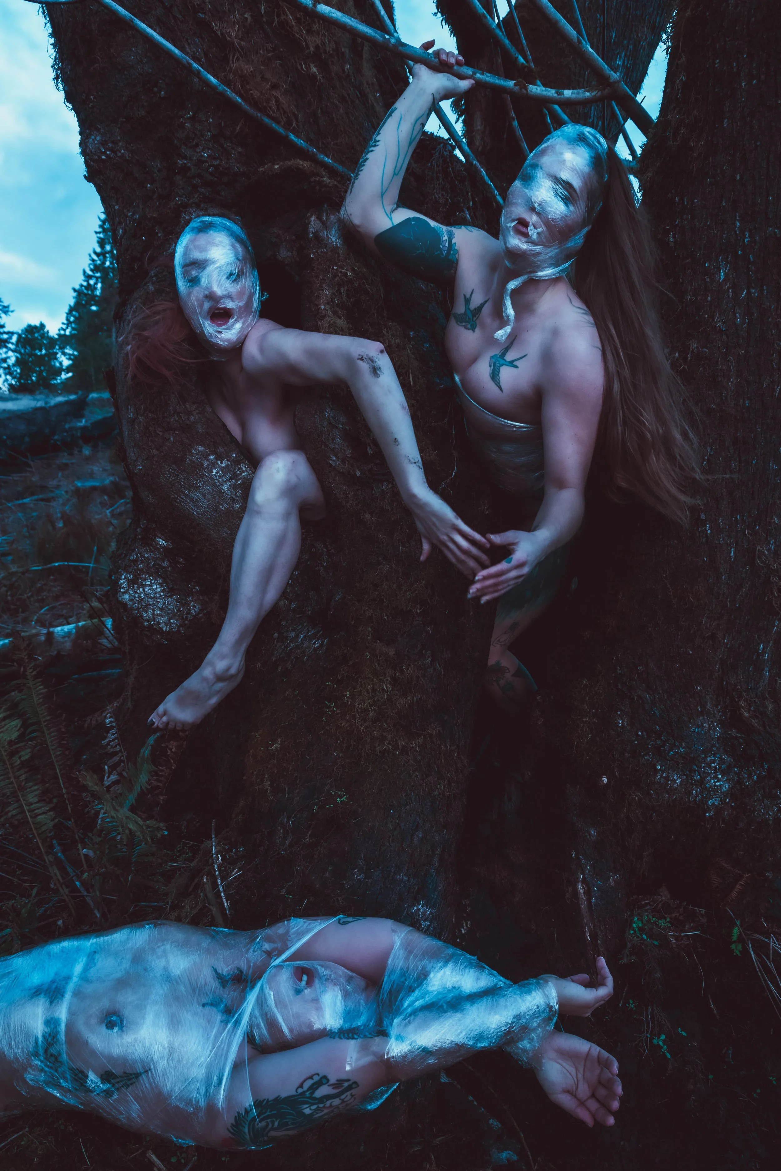 Saran Wrap Tree-8.jpg