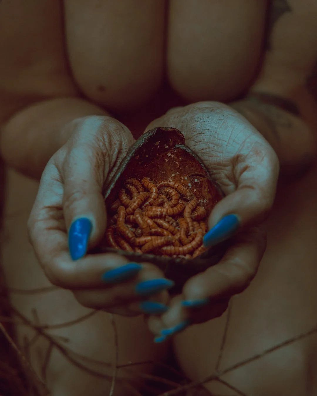 Nicole Rot-14 (Large).JPG