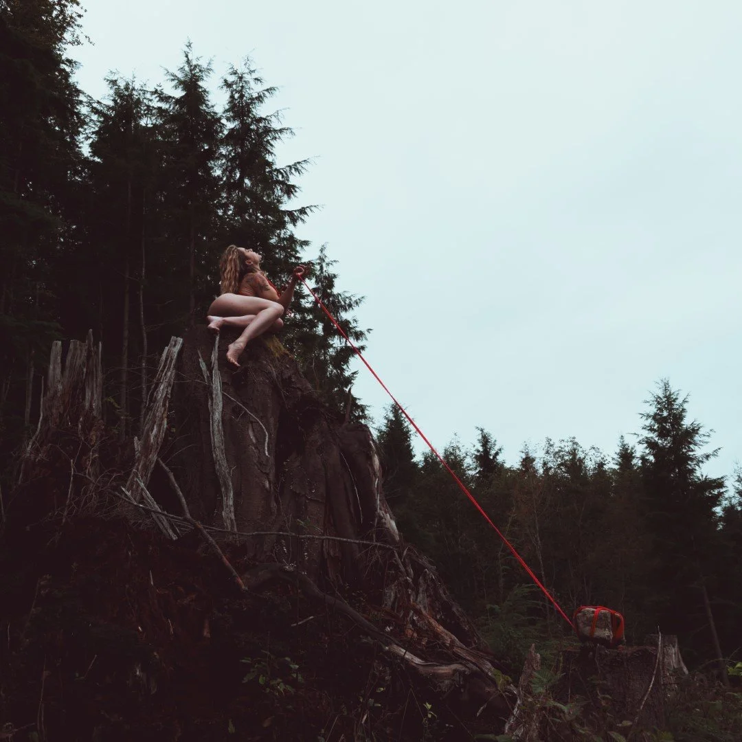 Burdened-17 (Large).JPG