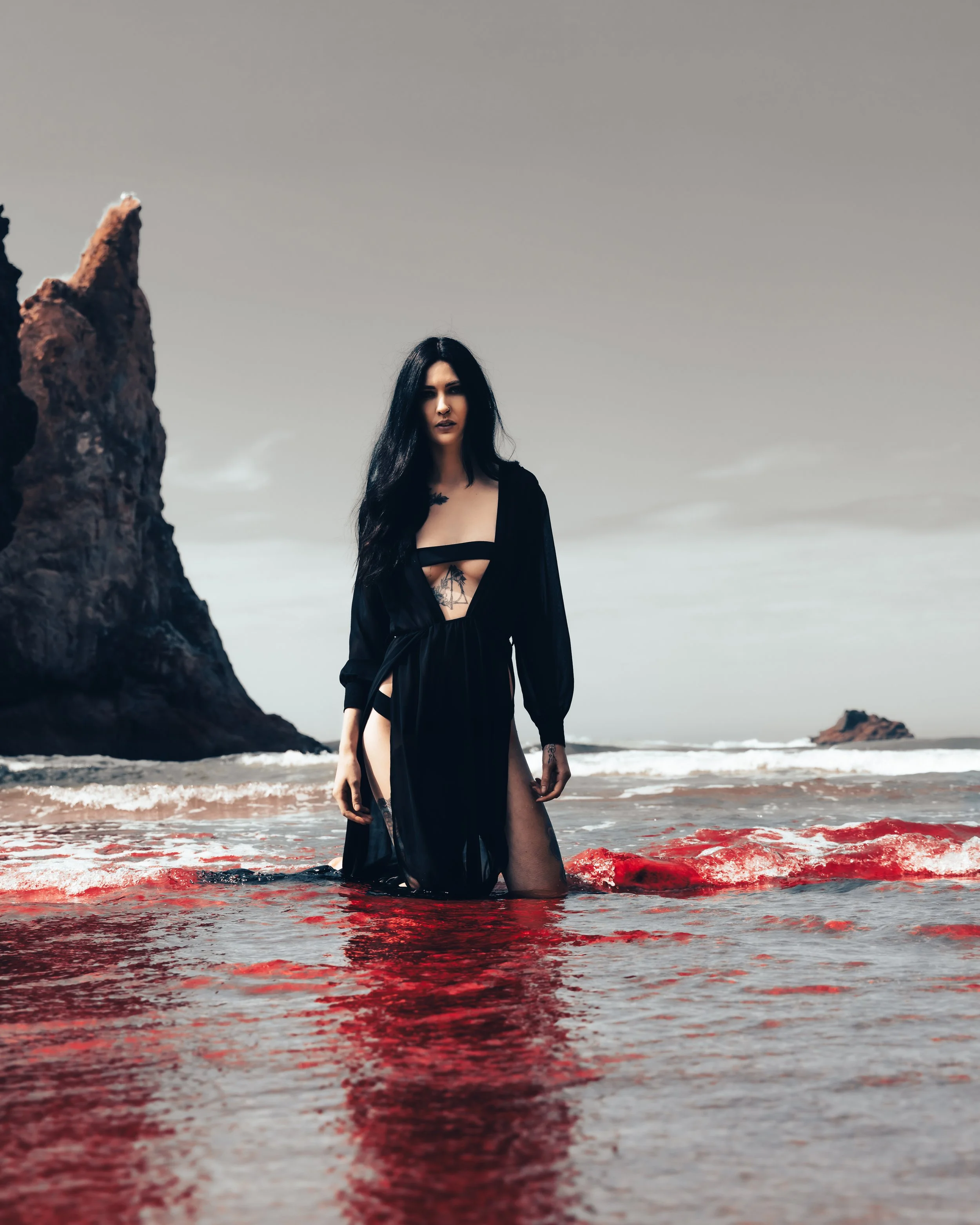 Rose Arcadia-30.JPG