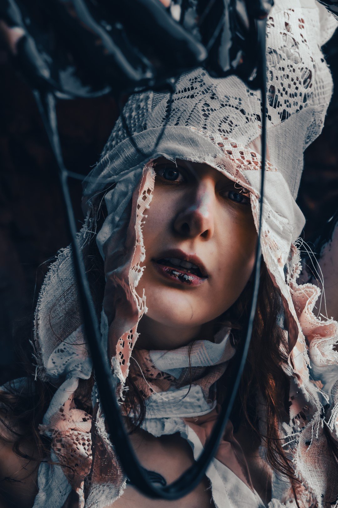 Squid beach-128 (Large).JPG