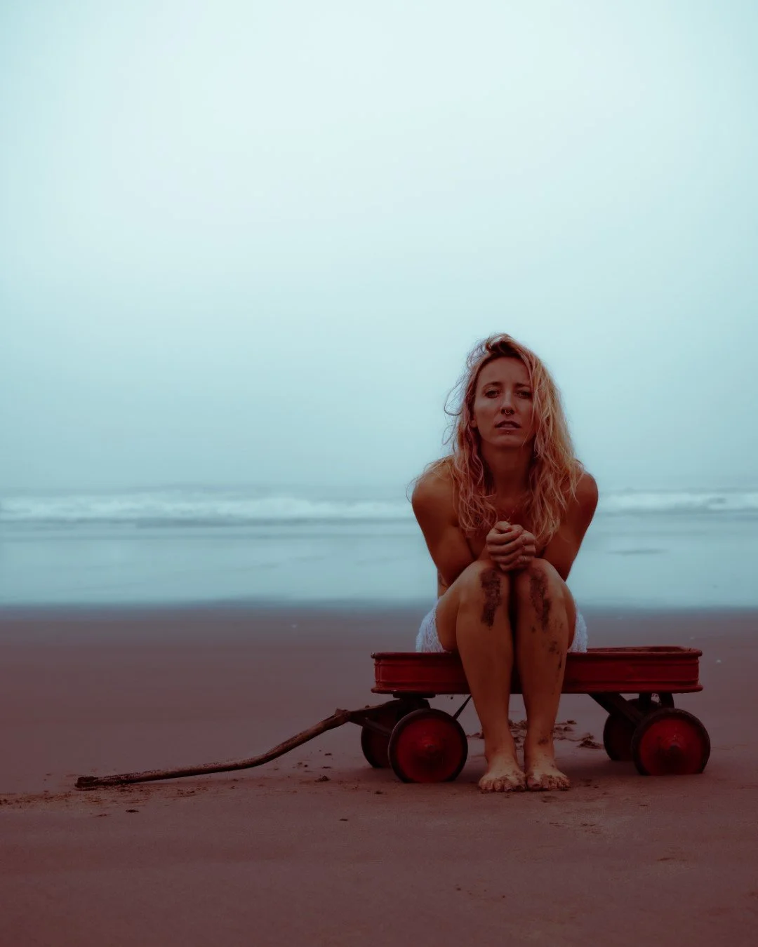 wagon-36 (Large).JPG