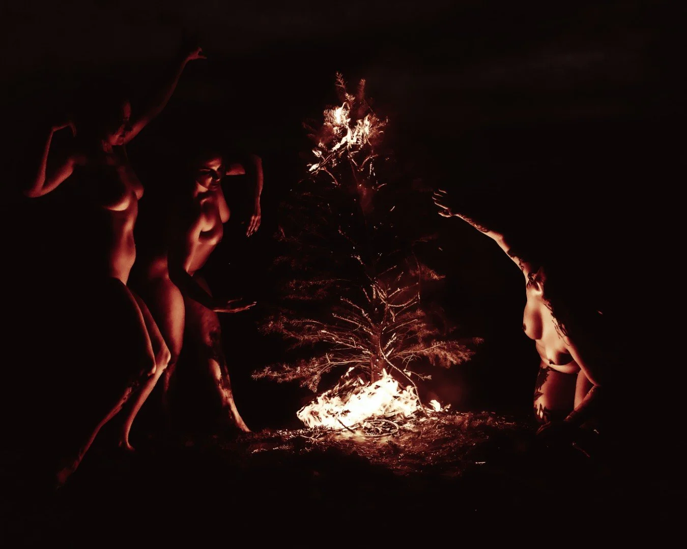 Beach Tree Fire-25 (Large).JPG