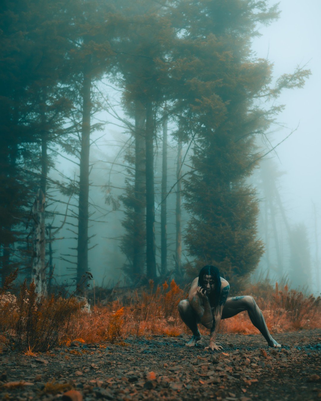 Zander wasp -28 (Large).JPG