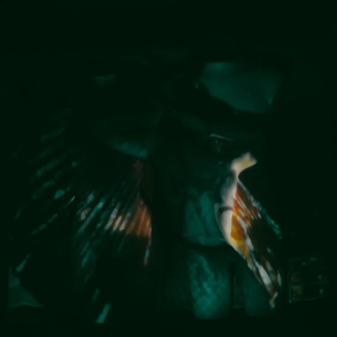 Tylar remote-12 (Large).JPG