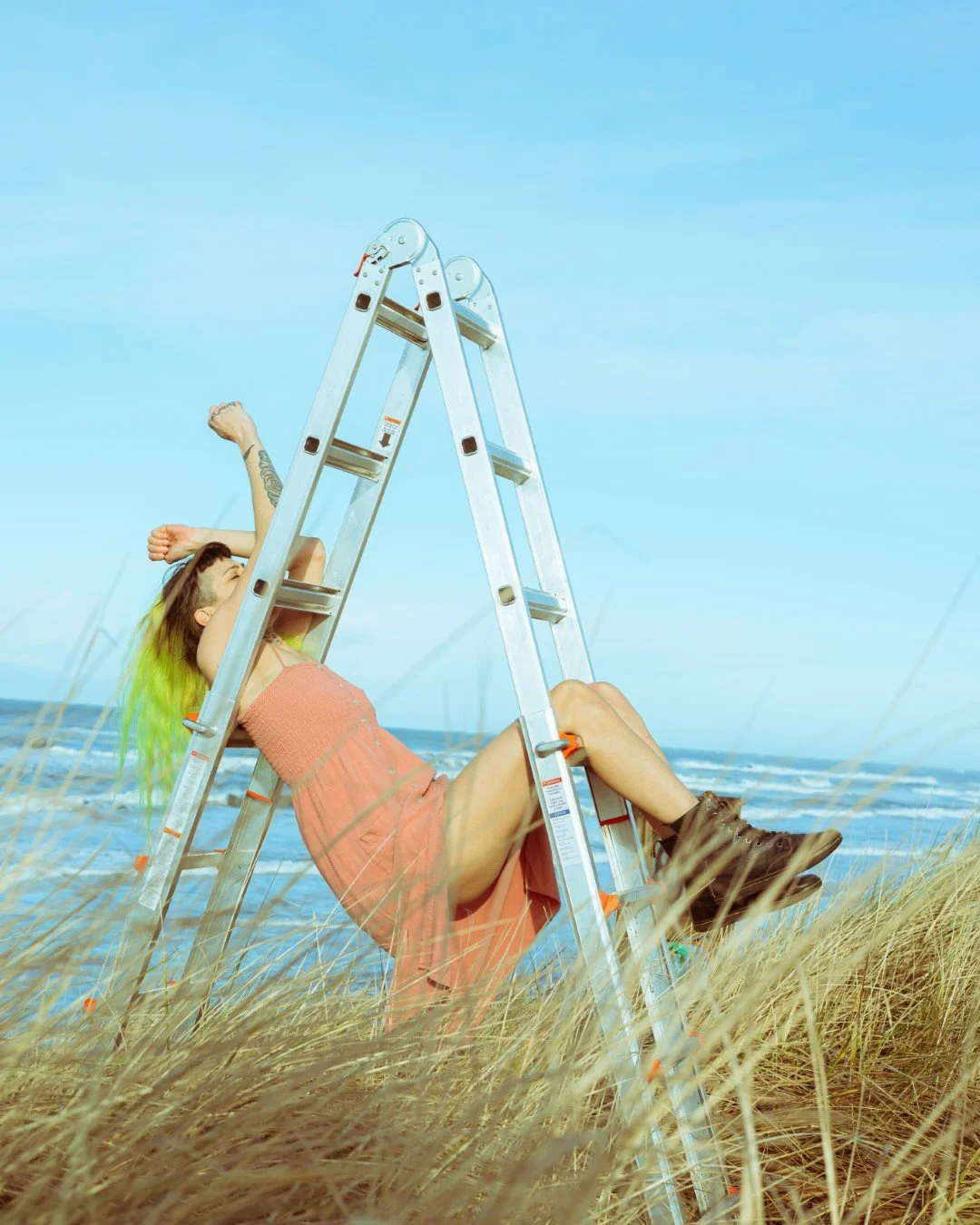 ladder-16 (Large).JPG