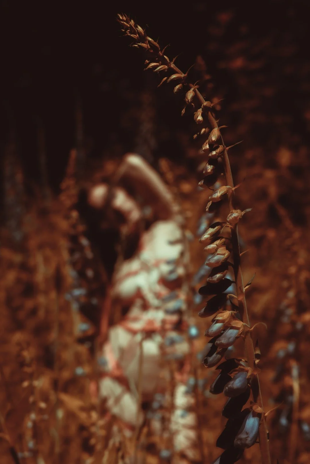 Becca bones and flowers-1 (Large).JPG