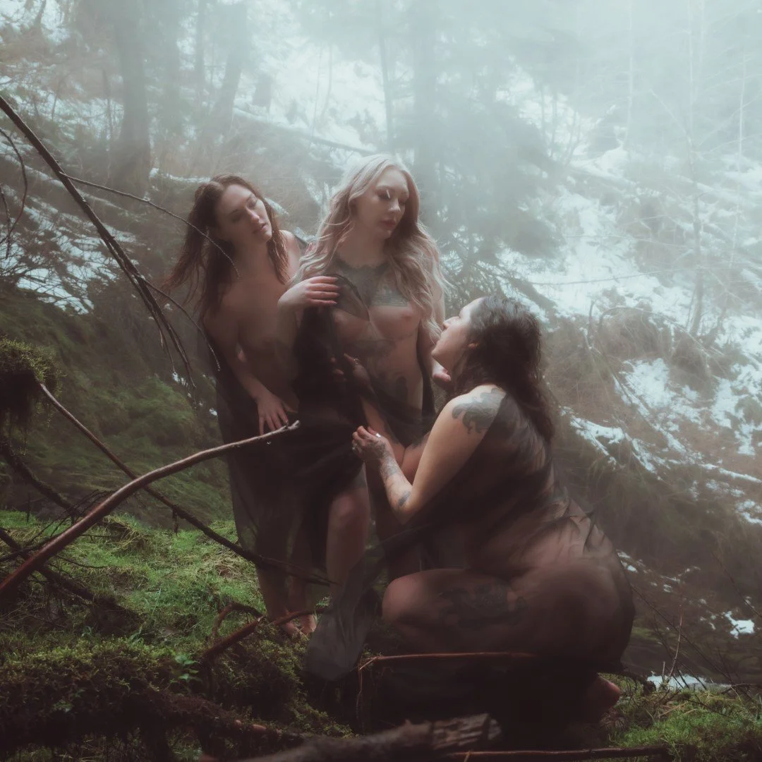 gnat falls snow-8 (Large).JPG