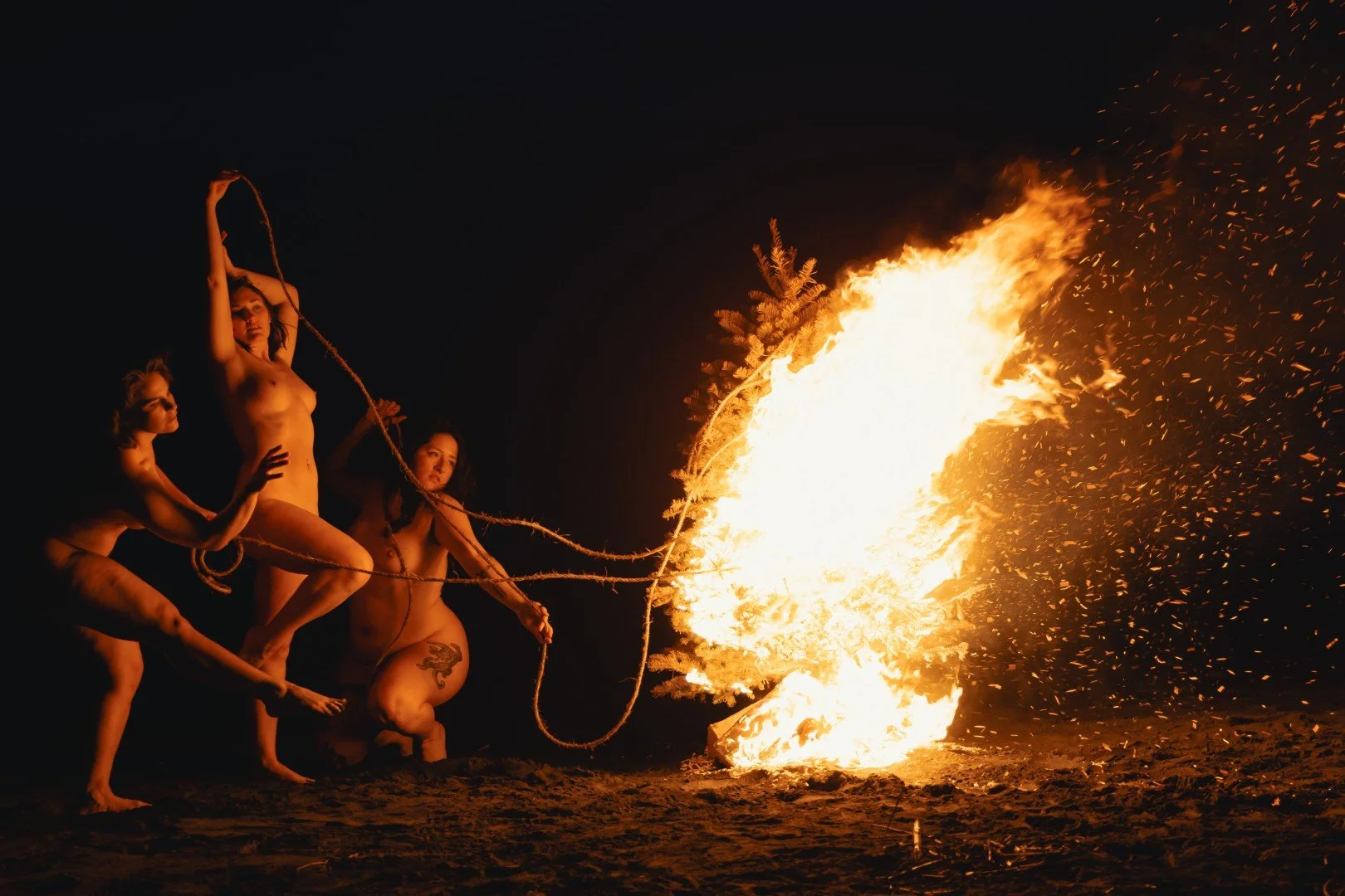 Beach Tree Fire-12 (Large).JPG