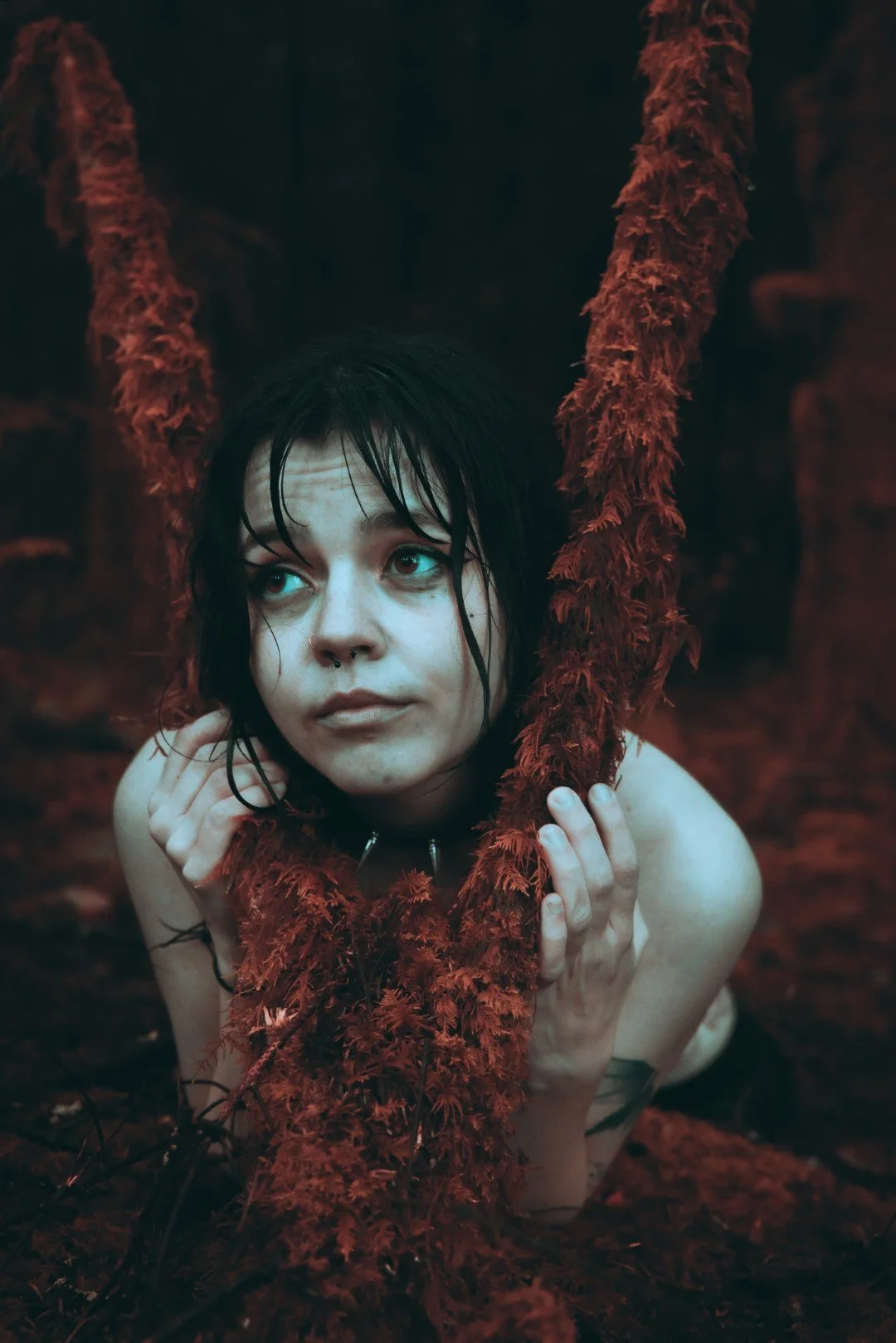 alexis tv-38 (Large).JPG