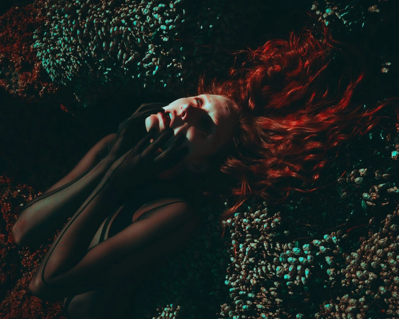 Squid beach-46 (Large).JPG