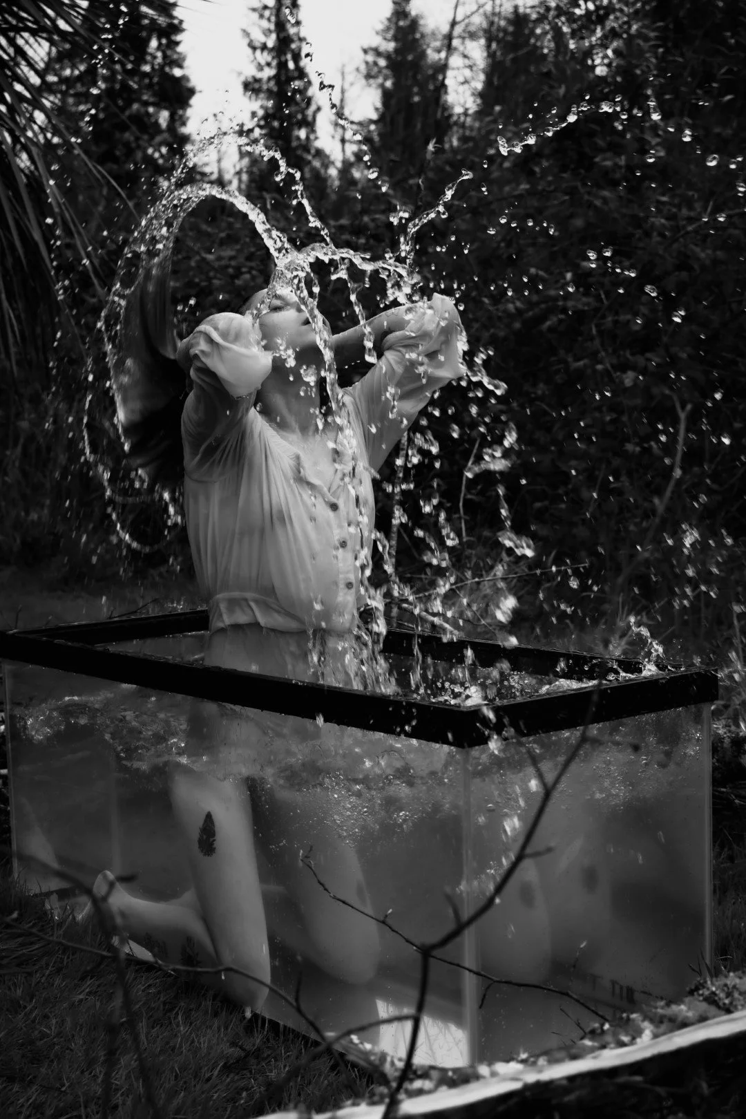 Shy Tank-30 (Large).JPG