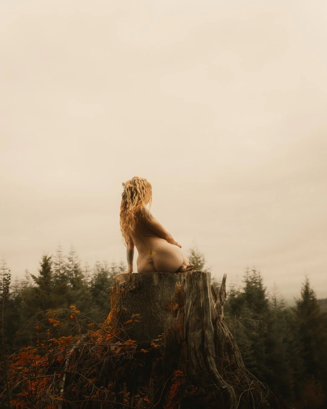 Burdened-25 (Large).JPG