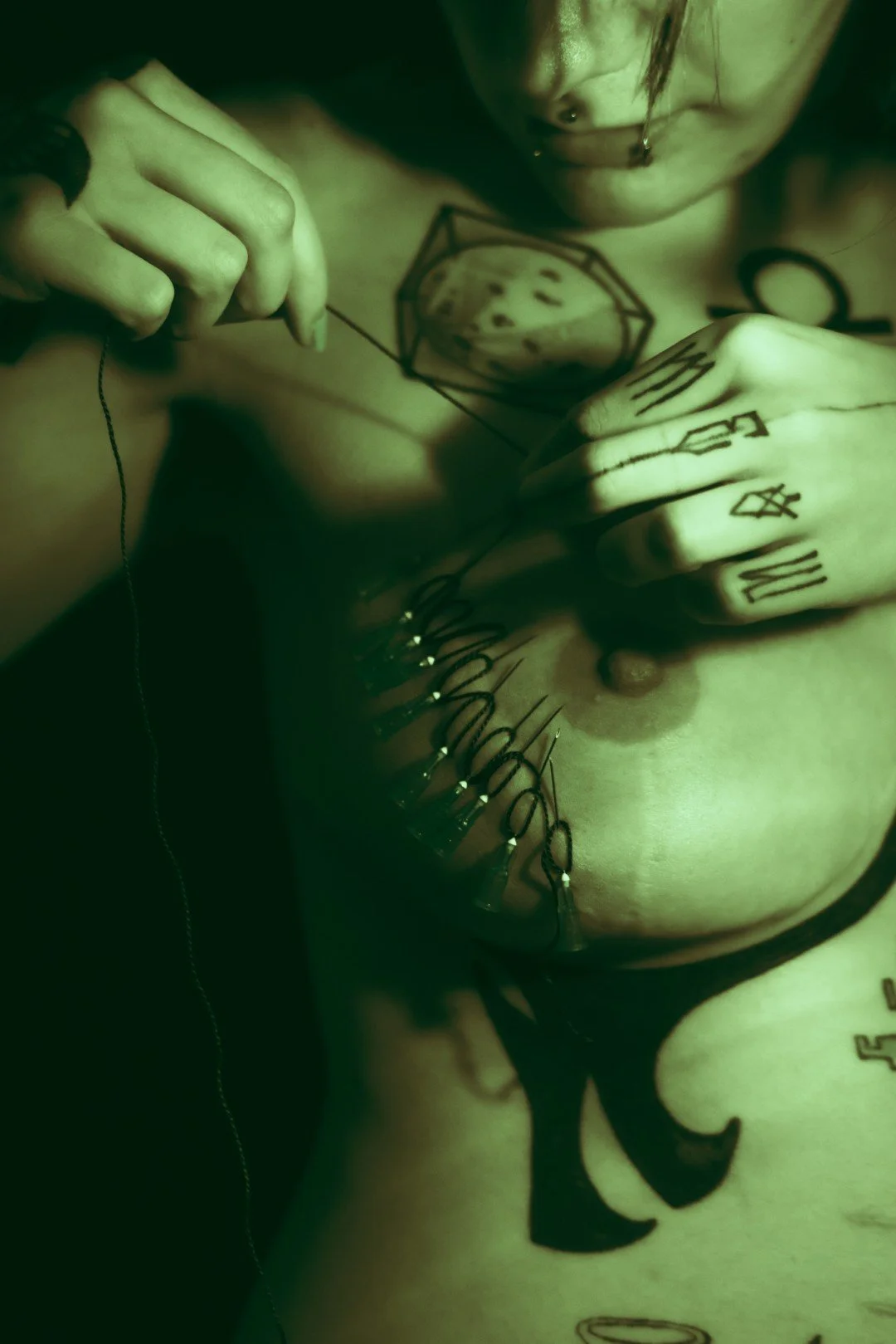 Sin needles-14 (Large).JPG