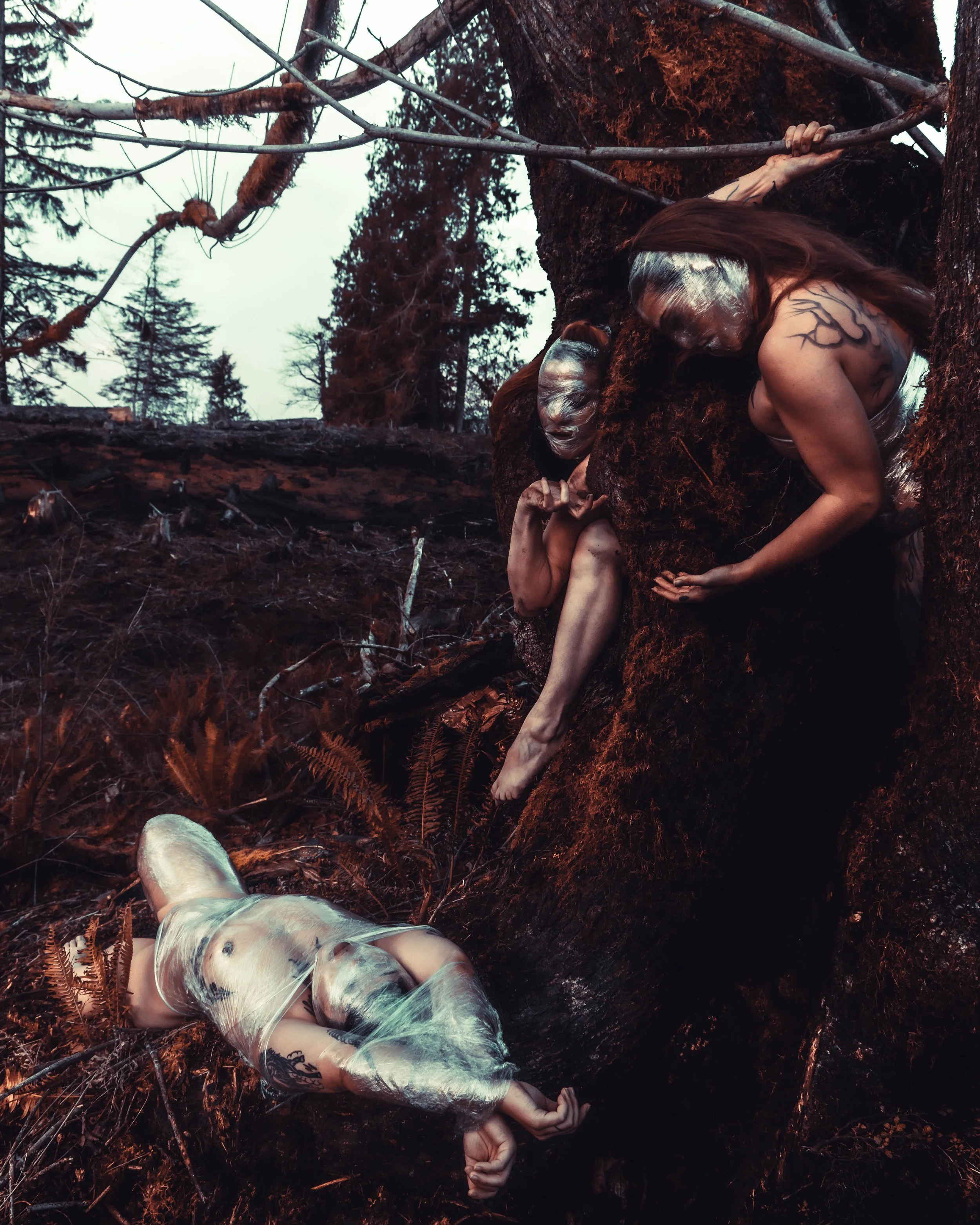 Saran Wrap Tree-16.jpg