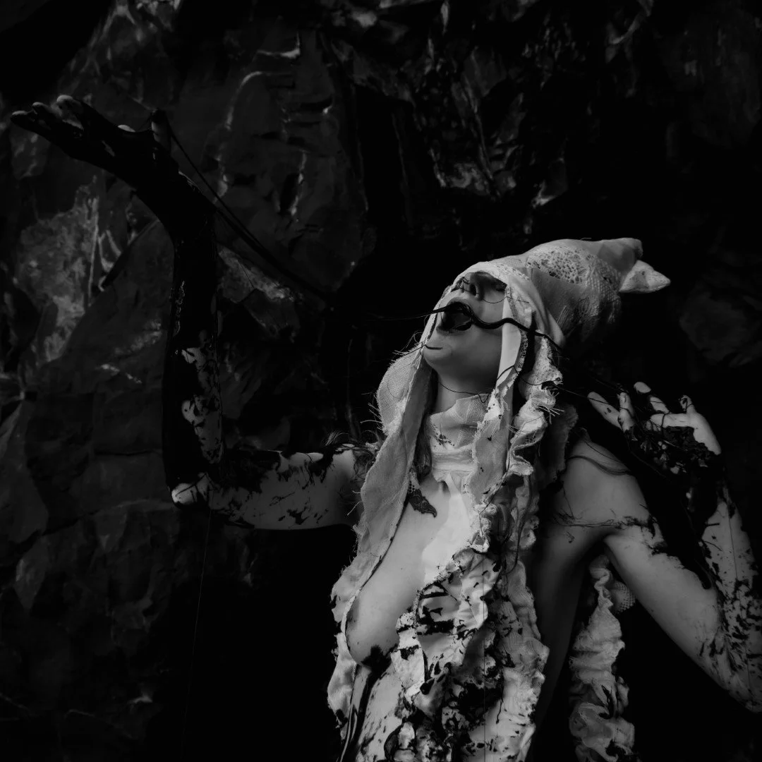 Squid beach-130 (Large).JPG