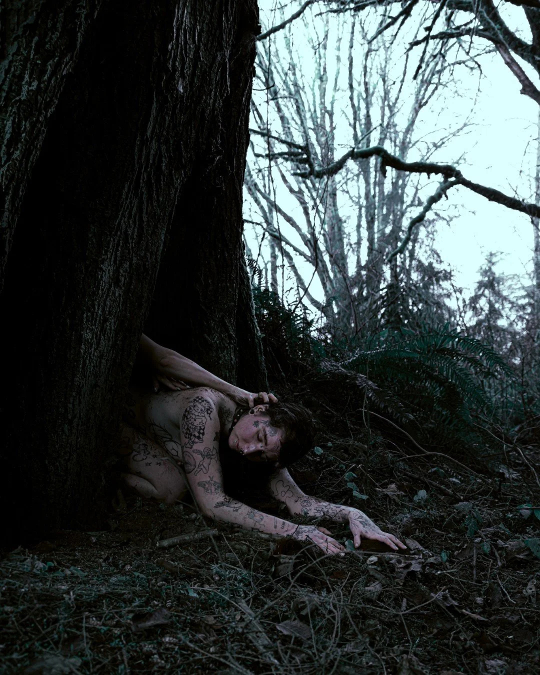 devil tree-19 (Large).JPG