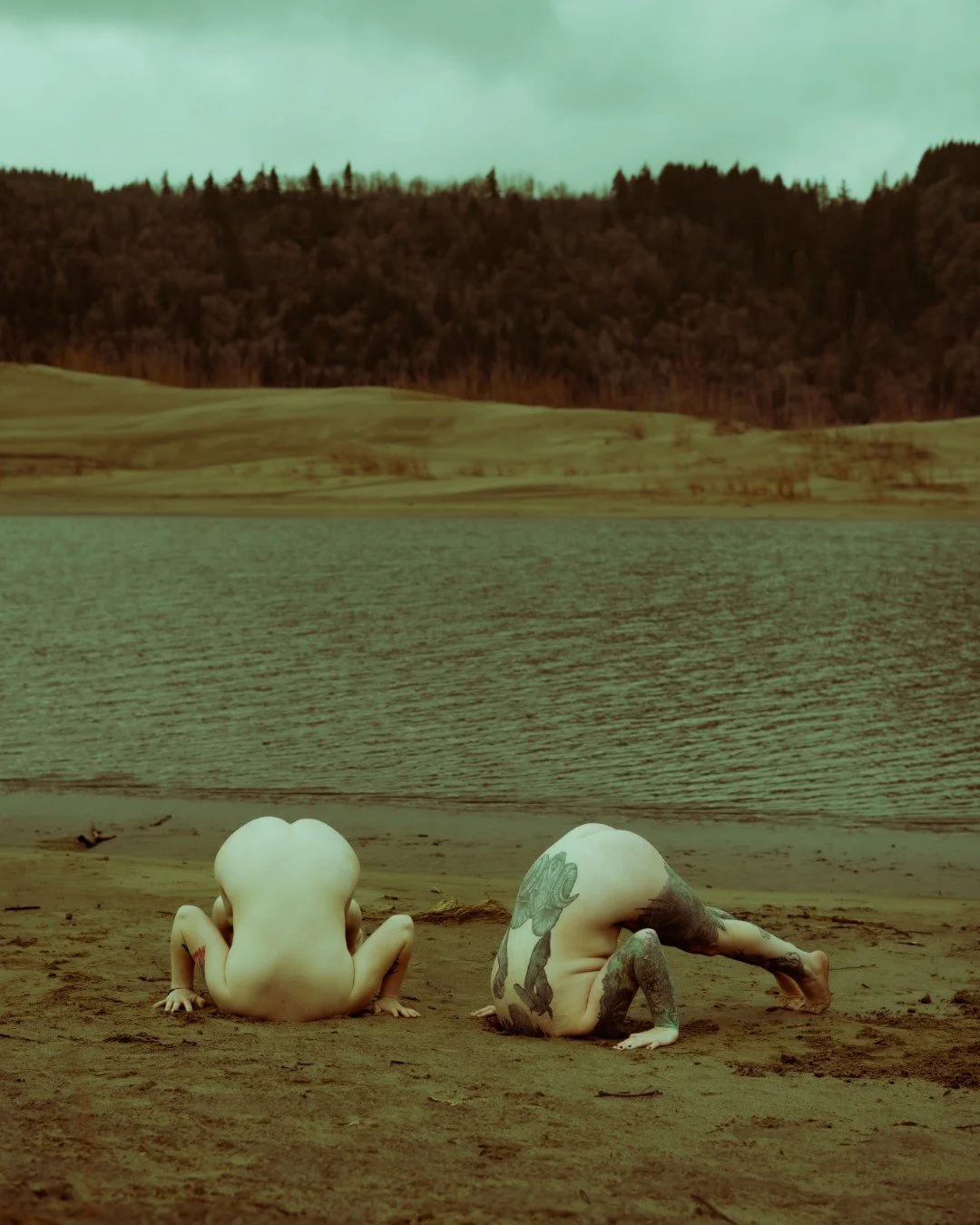 Rooster rock-70 (Large).JPG