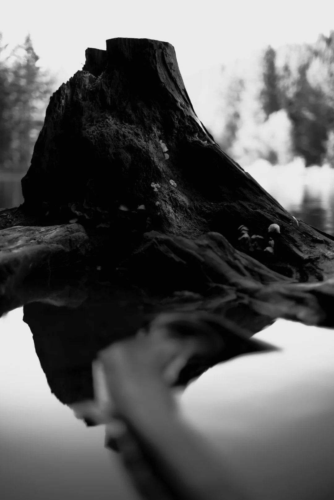 mt hood -38 (Large).JPG