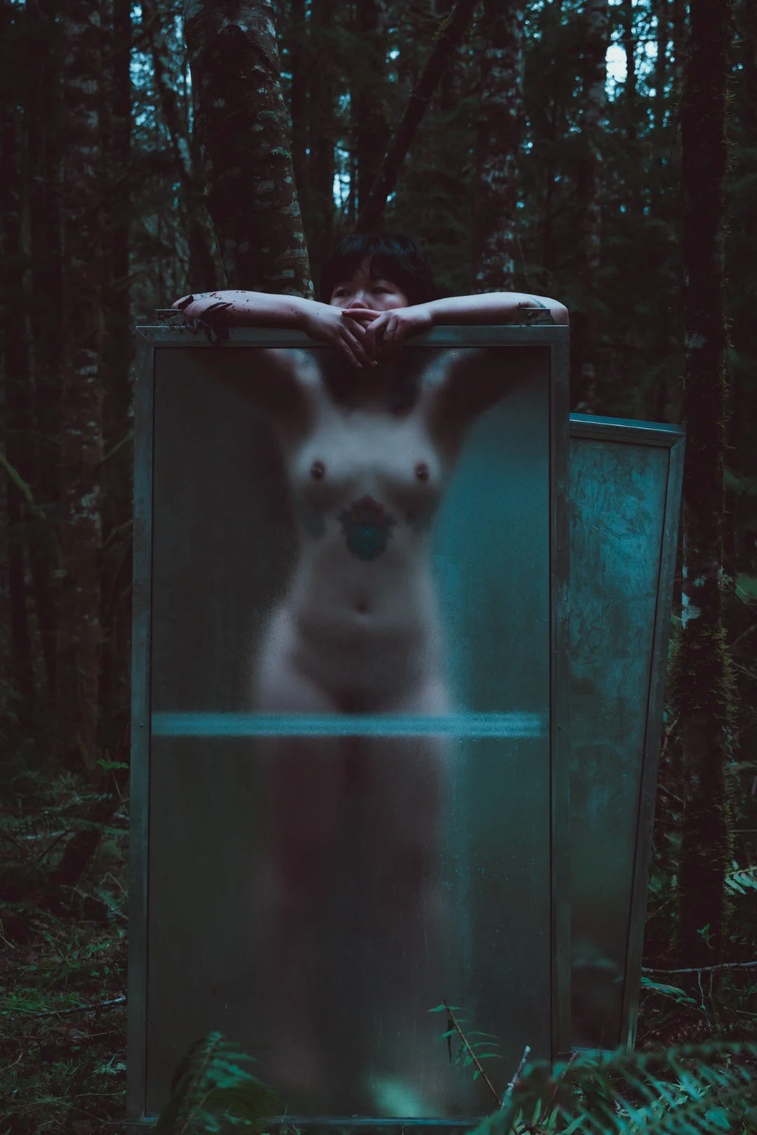 Forest Shower-63 (Large).JPG