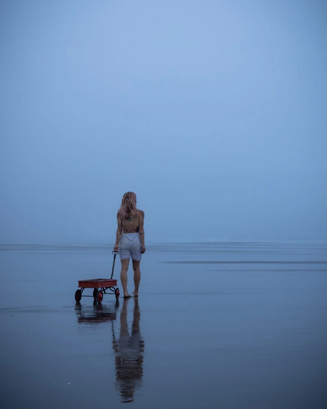 wagon-41 (Large).JPG