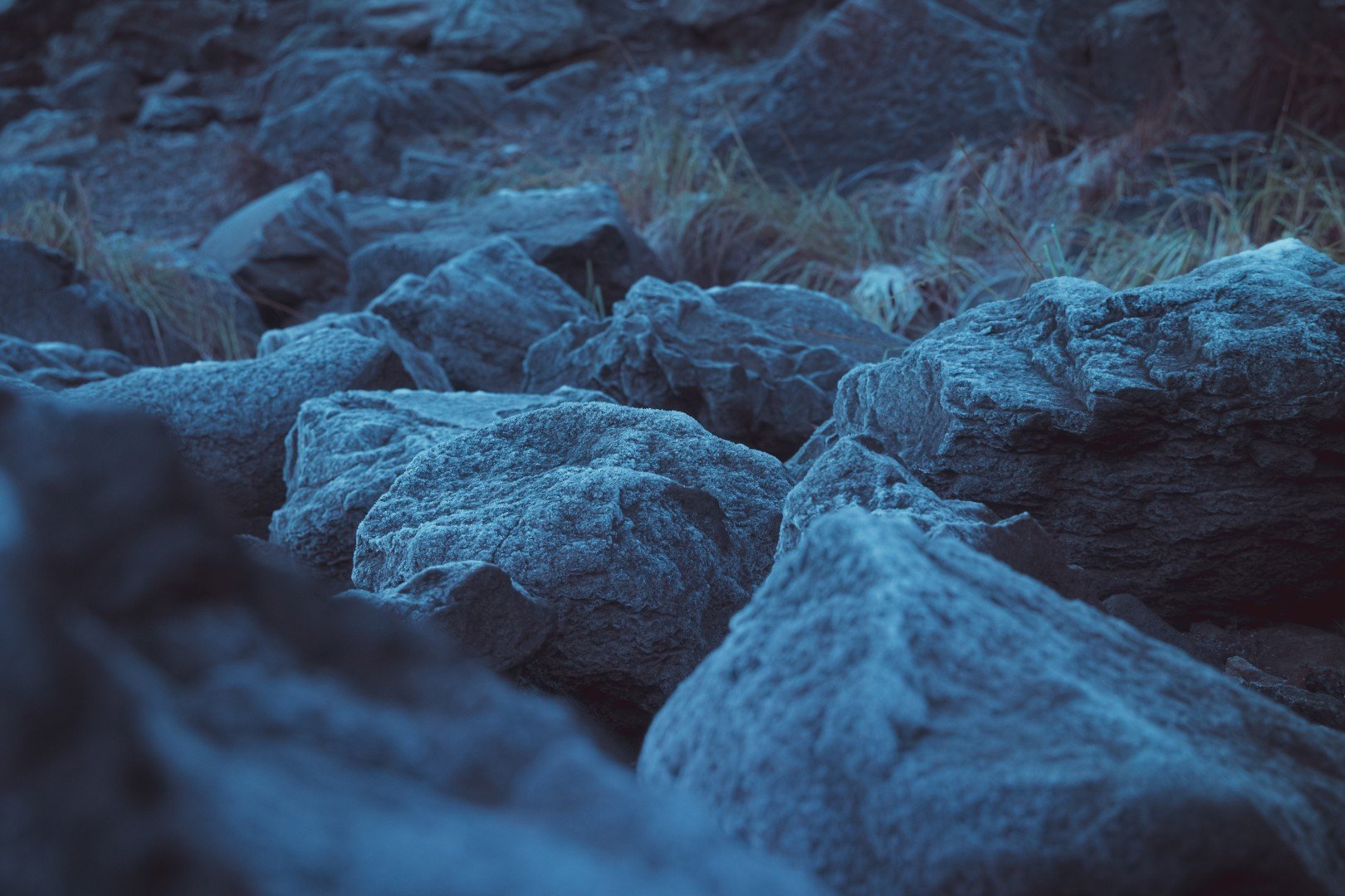 mt hood -73 (Large).JPG