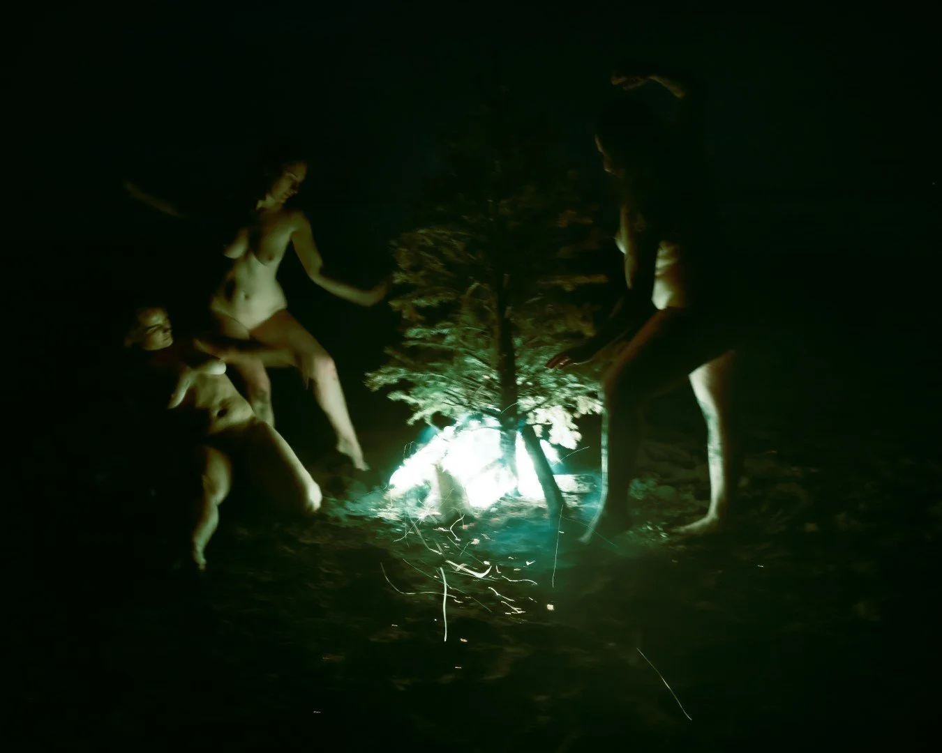 Beach Tree Fire-46 (Large).JPG