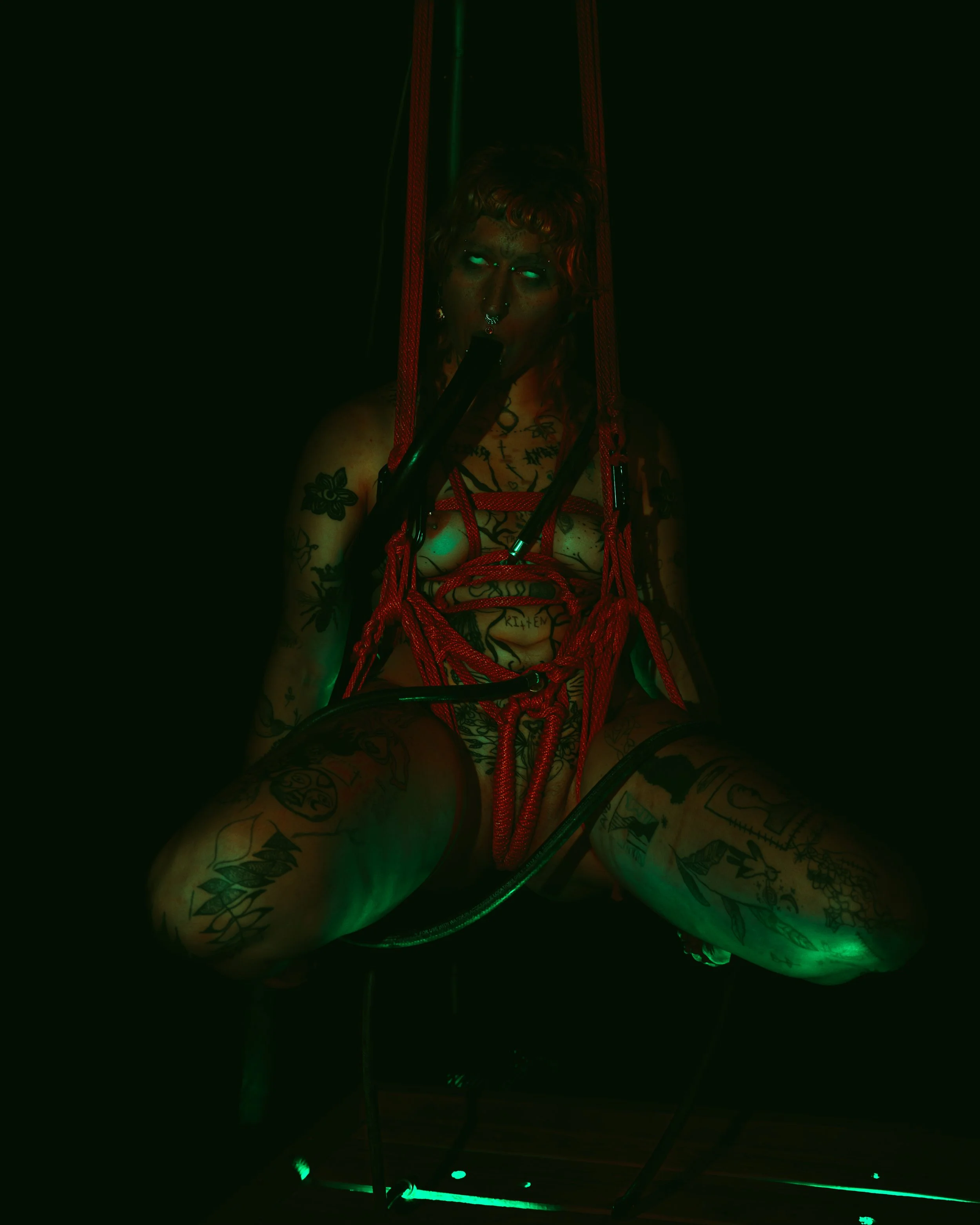 Alice rope and tubes-7.JPG