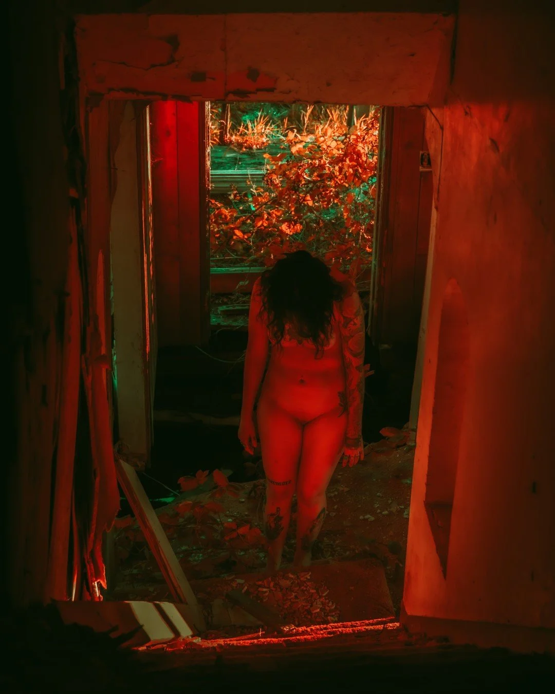 Morgan abandonded house-62 (Large).JPG