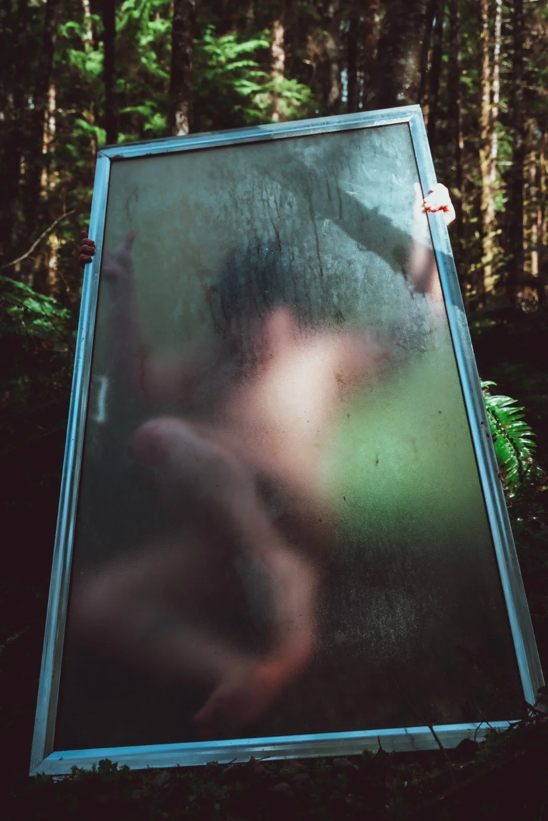 Forest Shower-36 (Large).JPG