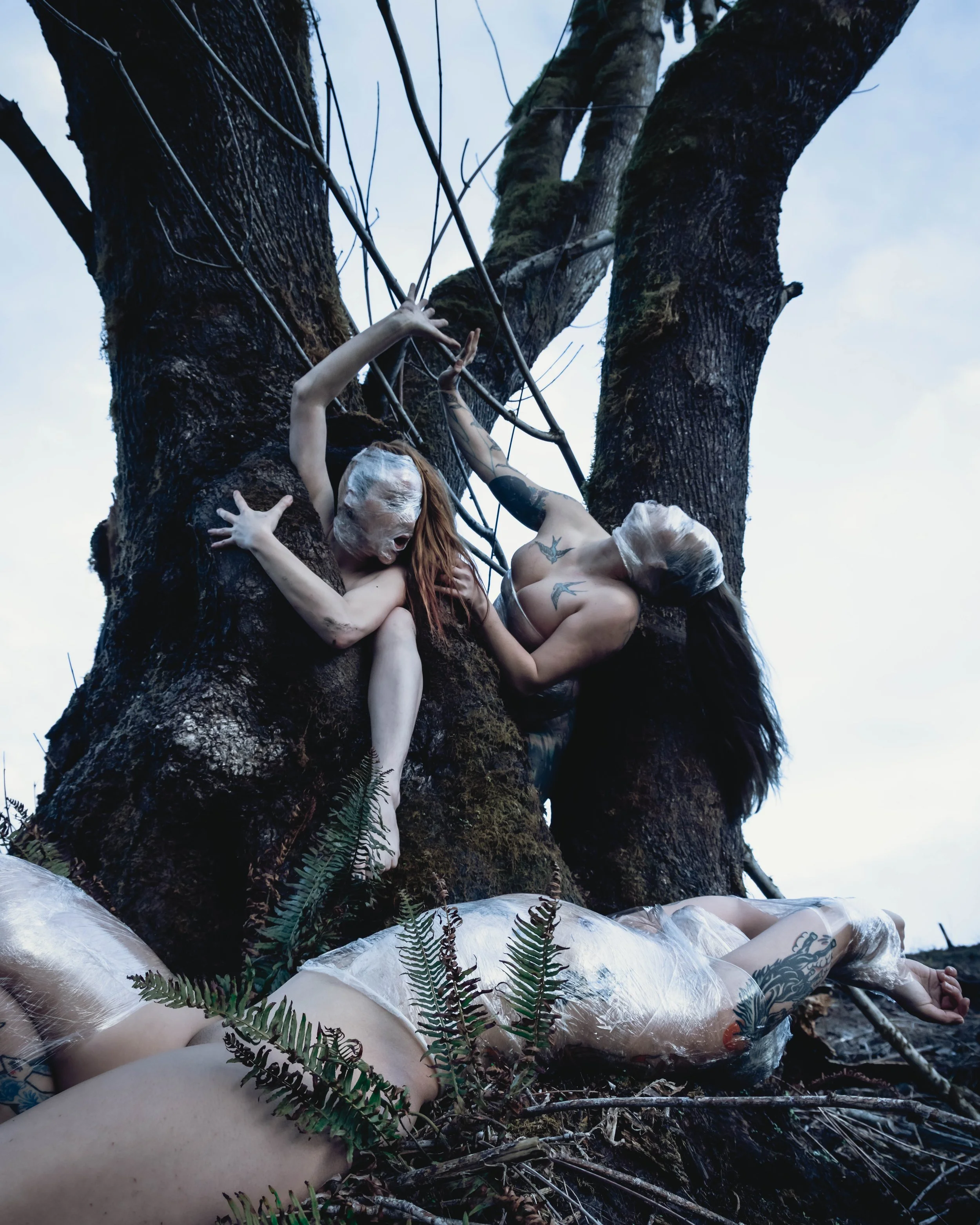 Saran Wrap Tree-9.jpg