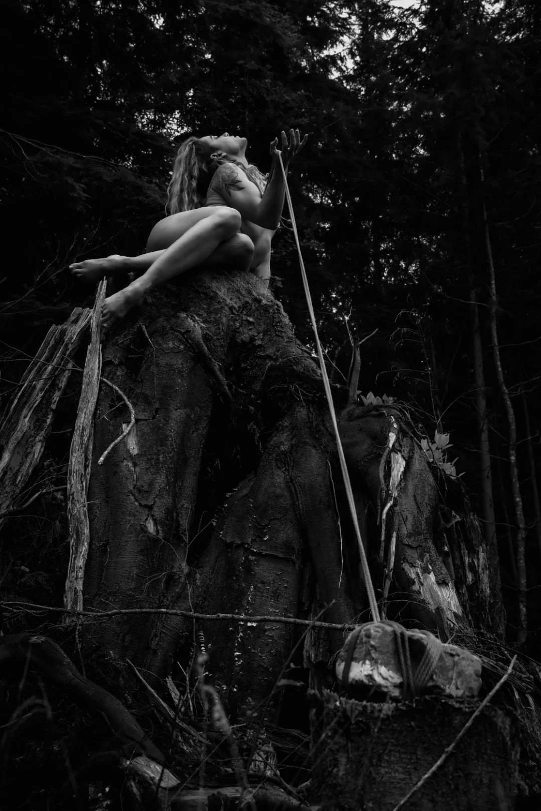 Burdened-16 (Large).JPG