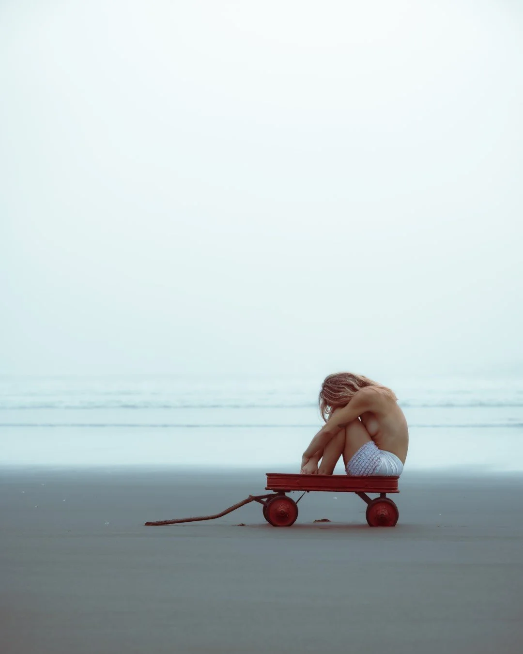 wagon-16 (Large).JPG