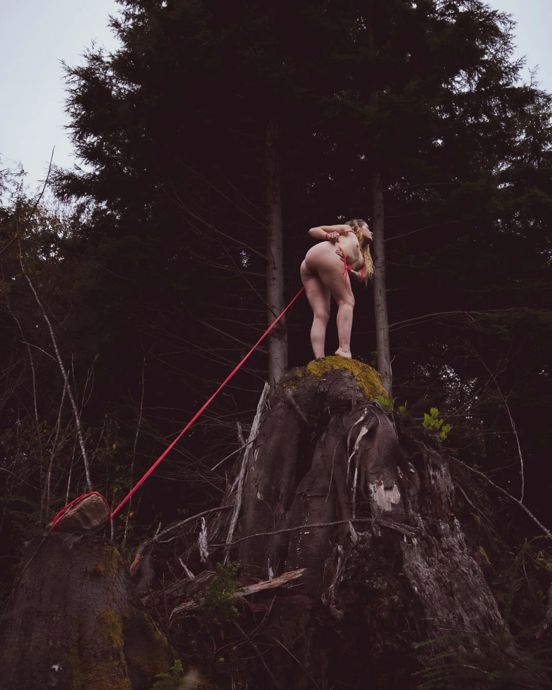 Burdened-8 (Large).JPG