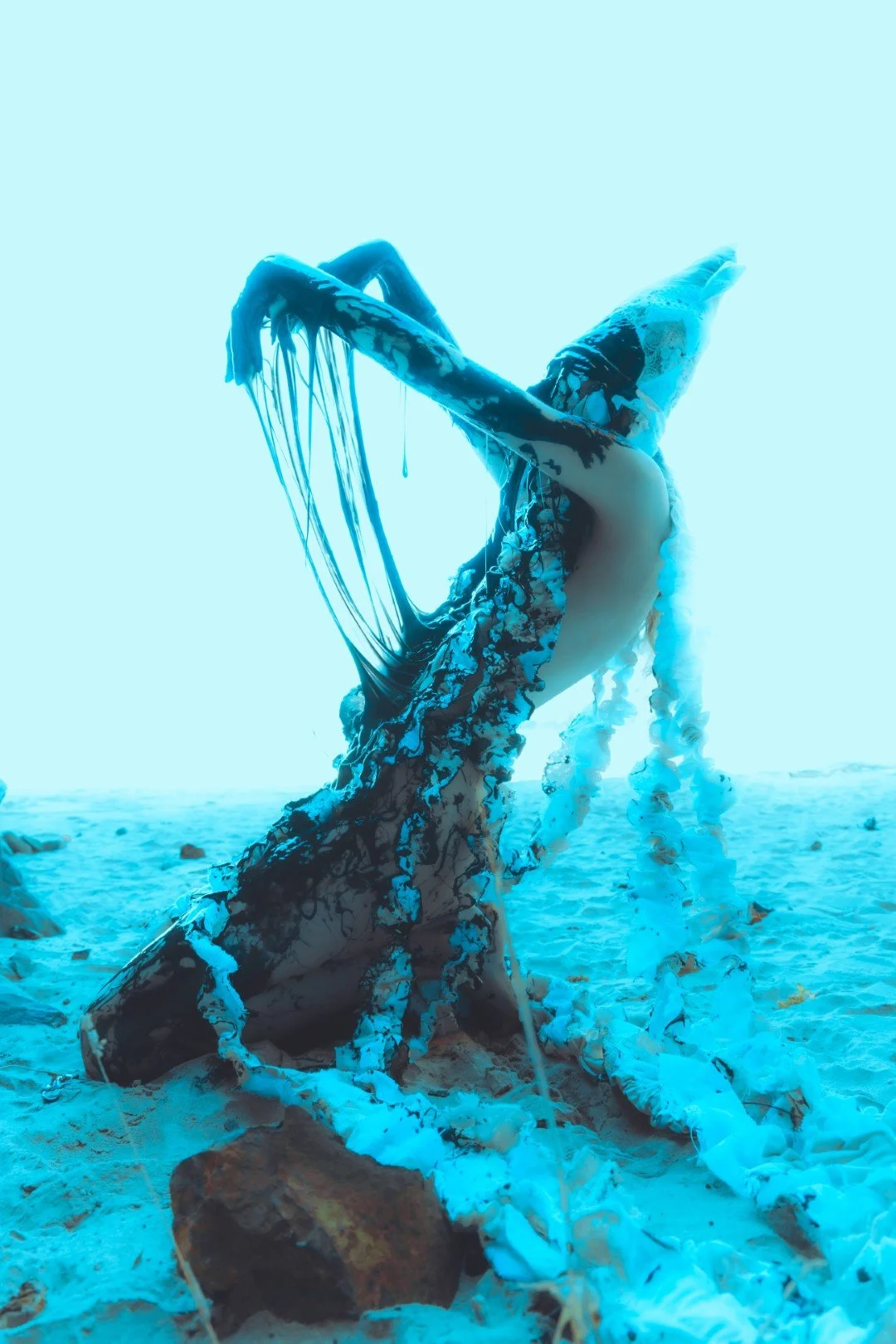 Squid beach day-6 (Large).JPG