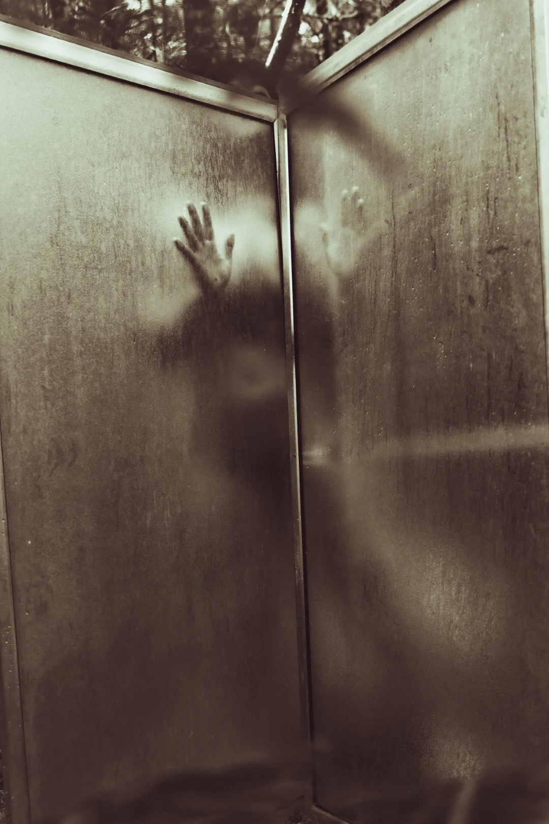 Forest Shower-26 (Large).JPG