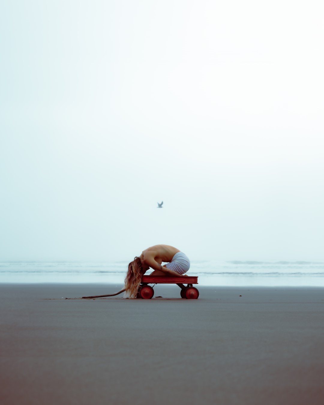 wagon-19 (Large).JPG