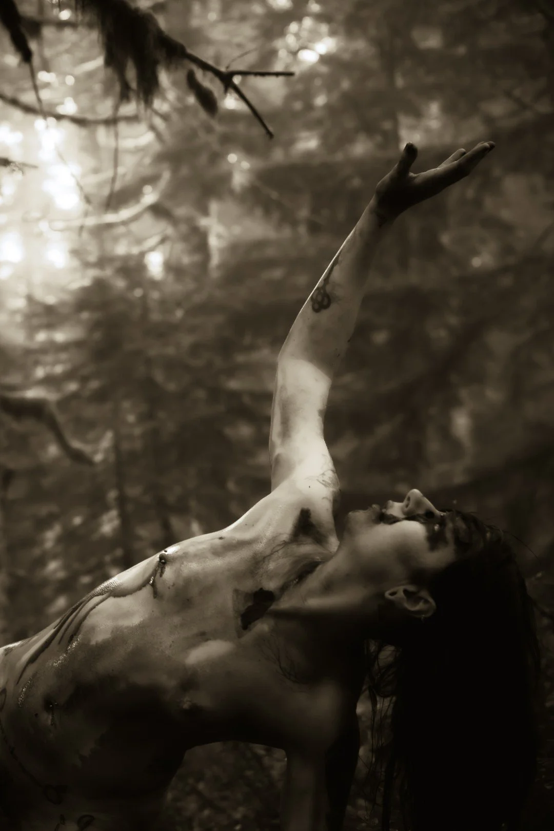 Zander wasp -23 (Large).JPG